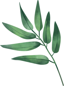 Watercolor Leaf Object 