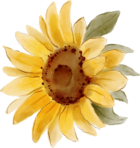 Watercolor Sunflower Illustration